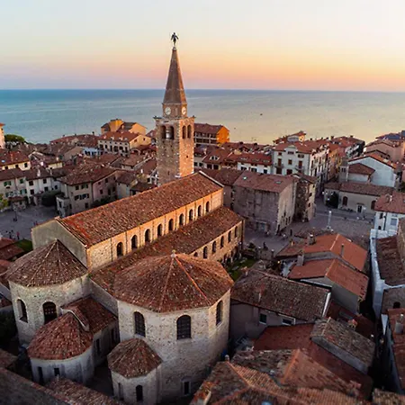 Modern Flat At Pineta With Terrace *