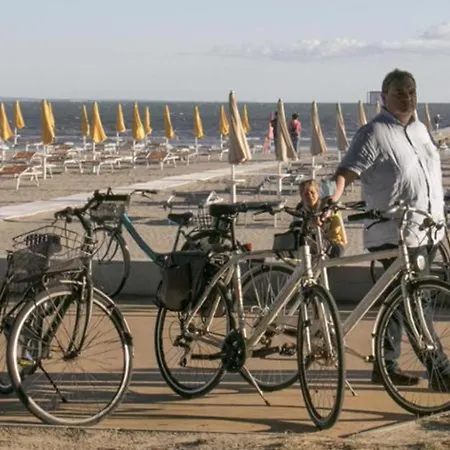 Apartment Modern Flat At Pineta With Terrace