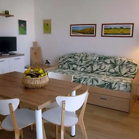 Apartment Modern Flat At Pineta With Terrace